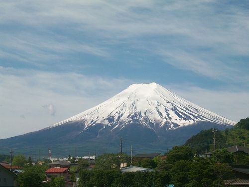 富士山と桜 3号 （富士芝桜観賞バスツアー｜四季の旅）