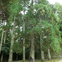 やっぱり雨！それでも楽しい宮崎①～日南・鵜戸神社・飫肥編～