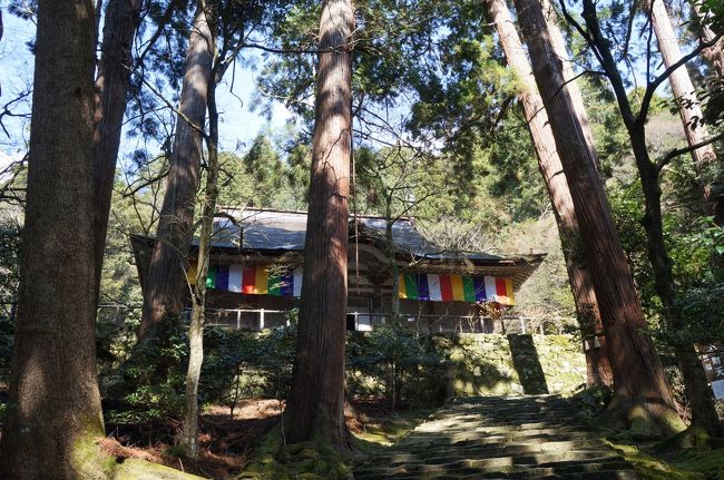 2014.4 滋賀⑥～湖東三山スマートインターチェンジ記念秘仏御開帳・百済寺