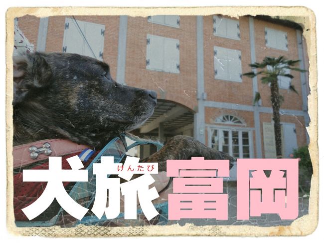 愛犬Ｋｅｎと旅する企画『 犬旅 』<br /><br />第１２回は、予定してなかった富岡。<br />悪天候で草津の旅が中断したので、緊急企画。