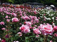 2014年05月　バラの香りに誘われて　ｉｎ　神代植物公園