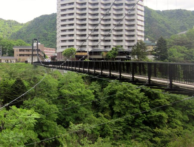 鬼怒楯岩大吊橋を渡って来ました～日光霧降高原のツツジも綺麗でした。