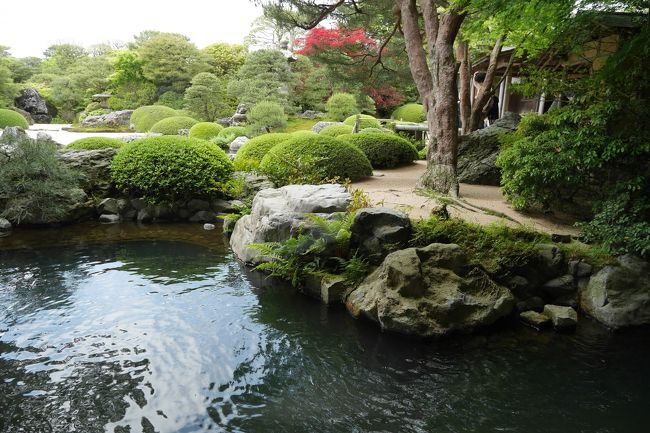 日本庭園で有名な足立美術館に行ってきました。<br /><br />枯山水庭、池庭、白砂青松庭などがあります。喫茶大観から、池庭を眺め、水は流れ、木々はそよぐを実感できました。<br /><br />横山大観の絵が素晴らしく、河井寛次郎、北大路魯山人の作品もじっくり見ることができました。