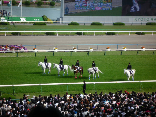 　日本中央競馬会（ＪＲＡ）による競馬レースのうち、Ｇ１（ジーワン）レースというのは２３回行われる。Ｇ１レースというのは最も格式が高く重要なレースのことである。それぞれのＧ１レースに特色があり、牝馬限定とか、三歳馬のみとか古馬（四歳）以上とかその他の条件が付けられている。しかし、いずれもがその条件の最高レースを指すのは間違いないところである。なかでもクラシックレースと呼ばれているのが、皐月賞、日本ダービー（正式名称は『東京優駿』）、菊花賞である。この三レースに勝った馬を三冠馬と呼んでいる。そんなＧ?レースを実施順に今年の例で示すと、<br />　２／２３　フェベラリーステークス<br />　２／３０　高松宮記念<br />　４／１３　桜花賞<br />　４／１９　中山グランプリ<br />　４／２０　皐月賞<br />　５／４　　天皇賞（春）<br />　５／１１　ＮＨＫマイルカップ<br />　５／１８　ヴィクトリアマイル<br />　５／２５　オークス<br />　６／１　　日本ダービー（東京優駿）<br />　６／８　　安田記念<br />　６／２９　宝塚記念<br />　１０／５　スプリンターステークス<br />　１０／１９　秋華賞<br />　１０／２６　菊花賞<br />　１１／２　　天皇賞（秋）<br />　１１／１４　阪神ジュベナイルフィリーズ<br />　１１／１６　エリザベス女王杯　<br />　１１／２１　朝日杯フューチュリーステークス<br />　１１／２３　マイルチャンピオンシップ<br />　１１／３０　ジャパンカップ<br />　１２／２０　中山大障害<br />　１２／２８　有馬記念　　<br />　<br />　となる。<br /><br />　これを見ると、ほとんどのレースが春と秋に集中しているのがわかる。季節の一番いい時期に走らせて最高の結果を生み出そうという考えなのである。このレーシングスケジュールを見て、変に思われることがあるのではないだろうか。上記の日程をよく見ていただきたい。天皇賞というのが春と秋に二回あるのである。他のレースはいずれも一回なのに・・・・・。<br />　ではなぜ、天皇賞だけが二回行われるのであろうか。春は京都競馬場で３２００メートル、秋は東京競馬場の２０００メールと、場所と距離は違うのですが、なぜ二回なのだろうか。これには日本の国家体制や政治制度と大きくかかわっていたからなのである。<br />　天皇賞の起源をたどると、日本競馬の発祥は明治３年、東京九段の招魂社境内で行われた兵部省競馬に始まるといわれている。日清・日露の戦争により軍馬の育成の重要性が謳われ競馬開催の必要性が叫ばれるようになった。当時の桂太郎内閣は軍馬育成は国策にかなうとして、明治３８年、競馬開催を決定し同時に馬券の発売も行うようになった。<br />　このように日本人による本格的な競馬が実施されるようになると（駐留外国人による独自の競馬開催はすでにあった）、この競馬開催の責任者だった加納久宣子爵は明治天皇に賞品の下賜を打診したのである。このとき当時の新聞が「帝室御賞典」と報じ、以後この名称が昭和初期まで続いたのである。当時の競走馬は現在のように中央競馬会に所属するものではなく、全国の競馬場に所属していたため競馬場ごとに「帝室御賞典」が実施されることとなったのである。昭和に入り日本中央競馬会が発足すると、競馬はＪＲＡが実施するものとなったが（管轄は農林水産省）、戦後はいままで全国１０か所で行われていた「帝室御賞典」を統一し、名称も「天皇賞」と改称して実施することとなった。「帝室御賞典」の名残から、天皇にちなんで御所のあった京都と、現在住まわれている東京の二か所で行われるようになったのである。また、日本が太平洋戦争に敗北し、ＧＨＱが日本国憲法を起草した際に天皇制を排除していたなら天皇賞レースも存在しなかったのである。<br />　さて、そんな歴史を持つ天皇賞だが、５月４日のゴールデンウィーク、僕は天皇賞が行われる京都競馬場へ出かけたのであった。まあ、これが僕のゴールデンウィークの過ごし方である。あまり高尚とはいえないが庶民の楽しみとしてお許しいただきたい。<br />　僕の住む和歌山県日高町からは電車を利用すると、天王寺駅乗り換え京阪淀駅下車となる。以前は淀駅から歩いて行ったのであるが、現在は大勢の競馬ファンが歩くので住民の迷惑を考え京都競馬場の前に駅は移転している。よって駅の改札を出て、すぐにプロムナードが競馬場の二階まで繋がっている。歩く時間が短縮でき有り難い限りである。それにＧ?レースともなれば１０万人もの観客が押し寄せるので、終わった後などは道路は人で埋め尽くされ、車の通行などは不可能な状態になる。<br />　僕が特急くろしおに乗り、京阪淀屋橋から京阪淀駅に着いたのはちょうど正午であった。京都の５レースが始まろうとしていた。早速、競馬新聞を見てみると、同時に東京の５レースも始まろうとしている。僕は同時に２レース分の馬券を買うことにした。ともに一番人気の複勝を１０００円ずつである。複勝馬券というのは３着以内に入れば払い戻しできる馬券なのである。考えたのは一番人気の馬ならどう遅くても３着以内には入るだろうということである。<br />　僕の馬券戦術というのは、お気に入りの競馬新聞『競馬エイト』のオッズ予想に基づいて１番人気から買うことなのである。<br />　競馬ファンならパドックで馬を見て、さらに馬場に出てから返し馬で馬の状態をチェックして馬券を買うのが常套手段であるが、僕はそんなことはまったくしない。なぜなら、僕の目はまったく馬を見る目を持たないからである。毛艶とか調子とかまったくわからないからである。とにかく『競馬エイト』のオッズ人気が頼りなのである。一番人気になる馬にはそれなりの理由がある。過去の実績や調子が最高であるから一番人気になるのであって、たとえ１着にならずとも３着以内には入ってくるだろうと、そうなれば複勝馬券は外さないと考えるのである。これでは配当は少ない。しかし、外れる確率は少ないので、僕は大儲けすることより、外れない馬券を買うことにしているのである。そうはいっても競馬は博打なので大きく儲けることにも興味がある。勝負するのは天皇賞で高額配当となる馬券を買うことである。それまでには地道に外れない馬券を買うことになるのである。ところがである。今日はどうも相性は悪いらしい。僕が買った京都５レースと東京５レ?スはいずれも外れてしまった。京都の一番人気、ハンマーグランビアは１０着、東京一番人気のキーンソードは６着と、ともに惨敗してしまったのである。嗚呼、悲しいかな！。<br />　なんとかしてこの負けを取り戻さなければならないと熱くなり、京都６レースに大きく賭けてみた。またも一番人気のクリノコマの複勝に３０００円を突っ込んでみた。そうするとこれが見事に的中し、２着に入ったのである。ここに複勝の楽しみがあるのである。一気に負けを取り戻し、払い戻しはは５４００円となった。今日のプラスは４００円である。<br />　まあ、儲けは少ないが、ひと息付けたので遅い目の昼食をとることにした。<br />　競馬場にきたなら僕はいつもうどんを食べることにしている。消化に良くこれは腹にも溜まらず満腹感もまた味わえるからである。<br />　競馬観戦はゴール板前のスタンド席と決めている。<br />　三階スタンド席は僕が競馬場に着く時間になるともう一杯である。レースコースを見渡せる階段に座るか通路に新聞を敷いて座るほかないのであるが、今日は階段に座ることにした。昼食のために席を立ってその階段を登ると館内に入った。三階スタンドのすぐ後ろには『江戸川』という、うどん屋がある。ぼくは店内に入り肉うどんを注文した。<br />　午後のレースに備え力を蓄えるためである。同時に肉うどんを食べながら天皇賞の検討もすることにした。一番人気は武豊騎乗のキズナとなっている。キズナは昨年のダービー馬でもあり仏・凱旋門賞にも挑んだ青鹿毛（黒に鹿毛が混じっている）の駿馬である。競馬新聞を見るとどの記者もグリグリの二重丸を付けている。こんなに人気があれば単勝予想オッズは１．７倍となる。父親は三冠馬のディープインパクト。キズナは前走の産経大阪杯でも圧倒的な強さで勝っている。今も調子は引き続き絶好調となっている。負ける要素は見つからないと競馬記者は書いている。僕もキズナを本命と考えることにした。しかし、この馬を複勝で買っても競馬賭博の面白さはない。今回の天皇賞は四強の争いだ。キズナ以外は、ウインバリアシオン（前走の日経賞１着）、ゴールドシップ（有馬記念３着、前走の阪神大賞典１着）、フェノーメノ（昨年の天皇賞１着）である。この四頭でほぼ決まるだろうといわれているが、キズナの複勝をとってもたいして儲からないので、そこで僕はキズナから、この３頭へかけてのフォーメーション馬券４２点と、４頭のボックス馬券６０点を買って勝負することにした。肉うどんを食べながらそう決めたのである。<br /><br />　食べ終わると早速天皇賞の馬券を買いに走った。<br />　天皇賞レースの前に８レースと１０レースも楽しむことにした。もちろん損しない馬券の複勝である。８レースでは１番人気は配当が少ないので色気を出して２番人気を買った。この日は武豊クンの馬券は絶好調。１０レースで武豊クンの乗る馬の複勝に５０００円もぶち込んだ。<br />　しかし、間の悪いとはこういうことをいうのだろうか。８レースは武豊騎乗の１番人気が１着、僕が買ったのは２番人気、１０レースは武豊騎乗の２番人気は４着と惨敗したのである。まさにチグハグとはこういうことをいうのである。さらに、チグハグはこれだけでは終わらなかった。待ちに待った天皇賞も、絵に描いたようなチグハグに終わってしまったのである。<br />　結果を先に云おう。武豊騎乗のキズナは４着に沈み、僕の馬券は紙屑と化したのであった。１，２着は四強の二頭のフェーノーメノとウインバリアシオン、３着に突っ込んできたのが人気薄のホッコーブレーヴであった。３連単は２１万１千百八十円の高配当となった。騎乗後、武豊は次のように語った。首をひねりながら、<br />　「いい感じで走ってくれていたけど、思ったより伸びなかったですね。実はギアがもう一段あるんですけど、出なかったです。残念です」。おいおい、ユタカ君、君を信頼したんだよ！。まったく、もう、ギア全開じゃあないんかよ、トホ・・・・・・。<br />　こうして、僕の天皇賞は涙とともに淀の川の流れに消えたのであった。情けない・・・・・・。<br /><br />　天皇賞については、詩人であり劇作家でもある寺山修司はこんな作品を書いている。昭和時代の競馬であるが、紹介して終わりとしたい。<br /><br />　?生まれてこのかた、競馬など観たことないという友人の塚本邦雄と天皇賞に行くと約束をしたのが夜の九時。まだ朝までに時間があるのので、（中略）一人で街に出ることにした。<br />　行きつけの酒場へ行って片隅に座ると若いバーテンと客がライター賭けをしている。<br />　「このライターを十回続けて蓋をあけるが、十回とも点火するかどうか？」というのである。<br />　自信たっぷりライターをつき出ているのは十八、九のＧ?刈りのバーテンで、それに賭けているのは古い背広を着た中年の男である。<br />　私はロアルド・ダールの『南から来た男』という小説を思い出した。それはひとりの小男が、賭けだけで生涯を生きてきて、財産全部を賭けつくして一文無しになり、それでも賭けがやめられずに、手の指を一本ずつ賭けて生きているという残酷な小説だが、この中年の「おっさん」にも、それと似たものを感じたのである。（中略）<br />　そのおっさんと大阪の酒場をハシゴしてまわっているうちに夜が白んできた。（中略）<br />　私とおっさんとは賭博についての、相容れない議論をかわしていた。<br />　おっさんはいまいましそうにいった。<br />　「負けるたのしみだって、ギャンブルのたのしみの一つですよ。勝つのが嫌いな男ってのもいるもんだ」<br />　「ところで、どうでしょうね」と私は水を向けた。「天皇賞レースは何が勝つと思いますか？」<br />　すると、おっさんは、しぶい顔をした。「天皇は人間には賞金を出さないが、馬には賞金を出すんだなあ」というのである。<br />　おっさんの「キーストンが逃げ切るでしょう」という予想をきいて、朝の千日前でわかれた。（中略）<br />　さて、塚本邦雄と淀の競馬場へ着いたのは午後の一時ごろであった。（中略）<br />　ただ、彼は生まれてはじめてのレ?スを観て、もっぱら驚いているようであった。メインレースの前座に「平安特別」というのがあるので、<br />　「１レースやってみないか？」というと、<br />　「何もわからんから」などといって尻込みしていたが、ふと、<br />　「平安朝ならばミネノユキ、タケノアラシなどというのが、古今集ムードでいいんじゃないかねえ」という。（中略）<br />　だが、それでもビギナーズラックということもあるからということでつきあったら、何と１着タケノアラシ、２着ミネノコマチとずばり的中して、二，三枚の馬券で四万ちょっとになった。<br />　「ついてるじゃないか」というと彼は、<br />　「気持ちがわるいから、もうやめた」という。<br />　さて、おめあての天皇賞レースのころになると、競馬場の便所はガラガラになった。みんな「ウンを落とすまい」としているのである。観覧席でばったりあった新橋遊吉に、<br />　「きょうは、ぜんぶ関東馬でいただきですよ」というと、彼は、<br />　「そんなバカな」といって、キーストン＝ダイコータ説を唱えた。<br />　私の心境はまさに竹越ひろ子の「東京流れ者」であった。遠征馬とか故郷を離れてたたかうものは勝つのがあたりまえだという考えなのである。<br />　だが、大阪っ子たちは私に反論して、キーストン、キーストンといいまくる。（中略）<br />　キーストンはいい馬だがきょうはいらない。「きょうは東京の馬が勝つのだ」といっていた私の予想通り、レースはハクズイコウ＝ウメノチカラと関東馬の一，二着になった。配当は十八倍といういいものであった。<br />　「畜生！」と大阪のノミ屋が叫んだ。「こんなインチキなレースがあるかいな。これじゃ、まるで熊沢天皇賞や！」（筆者注：戦後間もなく、南北朝時代の南朝方の子孫にあたると自称した熊沢さんという人がいて、裁判となり大きな社会問題となった）。<br />　その声を背後に聞きながら私は配当金の使いみちを考えていた。ひとつ、新しい靴を買ってやろう！　それに、新しい女も・・・・・・・などと思うと私はまったく「天皇万歳！」とでも叫びたくなってきた。ことしは幸先がよい。?<br />　寺山修司著、競馬エッセイ『馬敗れて草原にある』より。<br /><br />　寺山修司は天皇賞を取って”ことしは幸先がよい”、と言っているが、天皇賞を取り損ねた僕はお先マックラである。これからどうしていいものやら、恥ずかしげに肩を落とし、俯きながらひとり淋しく淀の競馬場を後にしたのであった。<br /><br />　