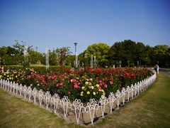 鶴舞公園を彩る春の花たち