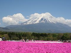 富士山と芝桜　日本に生まれて良かった。