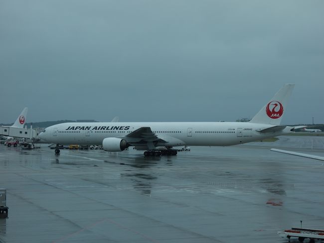 沖縄の観光旅行も終わり。中部空港行きのANA308便に乗りました。機材はボーイング767-300でした。