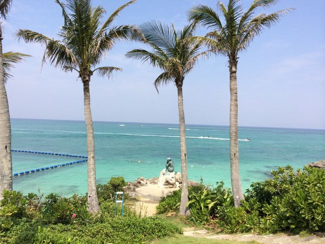 初投稿です♪<br />先日のGWに家族4人で沖縄に行って来ましたので、綺麗な美ら海と沖縄グルメをまとめてみました。<br />お付き合いヨロシクお願いします。 (3部作)<br /><br />沖縄は、親族がムーンビーチホテル内にマンションを保有しているため、1泊がリネン代の約3千円程度で宿泊可能。<br />そのため、これまでも度々ムーンビーチを訪れ、時には長期滞在することもありました。<br />今回は3泊4日の短期日程なのですが、やりたい事をギュギュっと詰めた濃い沖縄ステイになってます。<br />また、マイレージ消化で浮いた予算で1泊だけ日航アリビラに泊ってみたので合わせてご紹介します。<br /><br />【 5月3日 】晴れ :  7:45 羽田発 ANA125便 → レンタカーを借り →『よね食堂 』→ ムーンビーチ → 恩納の駅 →『あしびなー』 <br />  ★ムーンビーチ泊<br /><br />【 5月4日 】https://4travel.jp/travelogue/10889215<br />晴れ : 知花ゴルフコース → ムーンビーチ → 『サムズアンカーイン(宜野湾)』<br />  ★ムーンビーチ泊<br /><br />【 5月5日 】https://4travel.jp/travelogue/10889757<br />雨 :  読谷へ移動 → 日航アリビラ『金沙紗』→ アリビラ室内プール → 北谷『トニーローマ』<br />  ★日航アリビラ泊<br /><br />【 5月6日 】雨(梅雨入り):  美ら海水族館 →『丸隆そば』→ アウトレットモールあしびなー → レンタカー返却 →  20:40 那覇発 ANA138便 → 深夜帰宅<br />
