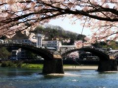 ふと思いついて桜咲く錦帯橋までドライブ