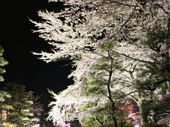 「春宵一刻値千金」 信州駒ヶ根光前寺のしだれ桜　