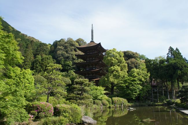 幕末から明治維新に向かっては、難解なパズルを解くような局面展開が続きます。<br /><br />始まりは、もちろんペリーの来航。安政の大獄で知られる井伊直弼が開港の決断をするのですが、それは開明的な考え方に基づくものではなく、国力が充実すればまた鎖国に戻すといった詭弁を弄するもの。この時、天皇の勅許を得ていなかったことが、その後の尊王攘夷派の恰好の攻撃材料となります。しかし、尊王攘夷派とても、世界情勢を理解しているわけではなく、単なる気分的な高揚があっただけのこと。腹が固まれば、攘夷など簡単だとしか思っていません。<br /><br />やはり、重要なことは、個々の思想ではなく、漠然とした不安や新しい時代への渇望といった庶民の意識のうねりが大きなエネルギーとなっていたことです。こうしたエネルギーは、藩で言えば下武士、公家も下層の階級。農民や地方の有力者にも広がっていて、何かをしなければいけないという熱にうかれたような気分が充満していたのです。脱藩浪人たちが京都に集まり、時代を動かそうと暗躍を始めますが、その多くはただ熱情があっただけ。自分の行動が後に続く人々に何かを残す。そこに意味があるという命知らずの面々です。<br /><br />この危ないエネルギーを意識しながら、時代をどう動かしていくか。英傑たちの活躍が始まるのです。ちなみに、尊王攘夷は、水戸が火をつけますが、結局は内部抗争が果てしなく続き、天狗党に象徴されるように自滅に近い結末。御三家であり、佐幕から抜け出せないという限界もありました。<br /><br />長州は、藩主以下が早くから純粋な尊王攘夷に動き、自らも下関海峡でアメリカ商船を砲撃して、幕府を執拗に追い詰めますが、これに待ったをかけたのは、公武合体を主導する島津久光の薩摩藩。松平容保の会津藩とも連携して、8月18日の政変で長州藩を追い落し、翌年、禁門の変でも再びこれを撃退。長州藩は、一転、朝敵となってしまいます。<br /><br />しかし、薩摩藩は大久保利通、西郷隆盛らが力をつけ、討幕へと舵を切ったことから薩長は急接近。坂本竜馬の斡旋もあって、薩長同盟が実現するのです。一方、あくまで佐幕派で、内乱を避けたい山内容堂の土佐藩は、大政奉還へと導き、松平春嶽の越前・尾州藩とともに徳川の力を温存させる協調体制の道を探ります。しかし、薩摩藩の決意は固く、岩倉具視と一枚岩となって王政復古と徳川の領土返還を貫く構えを崩すことはない。遂に会津・桑名を中心とする幕府軍は激高。鳥羽伏見で戦端を開くという流れです。<br /><br />ところで、その長州藩ですが、長州藩とても尊王攘夷で一貫していたわけではなく、禁門の変後の第一次長州征伐では、幕府への恭順を主張する保守派が力を盛り返します。ただ、ここで高杉晋作の騎兵隊をはじめとする農民を含んだ新興勢力が藩の主導権を奪い、新しい時代を求めるより明確な意識を持った集団が誕生するのが面白いところ。その力は下関や山口市を中心に勢力を伸ばし、萩の保守派を追い落としていくのです。<br /><br />予備知識はこのくらいにして、さあ、どこまでそんなところを感じれる旅になるでしょうか。出発です。