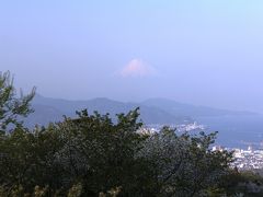 富士山と桜と見られなかったダイヤモンド富士を求めて?（駿府城址・日本平・三保の松原）