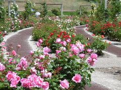 バラの香りに魅せられて・・・・・・香りと美しさに包まれた薔薇の楽園　花フェスタ記念公園編・・・・・・・　　　　薔薇のテーマガーデン
