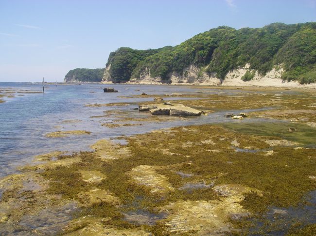 日帰りで房総の海に磯遊びとバーベキューで楽しんできました