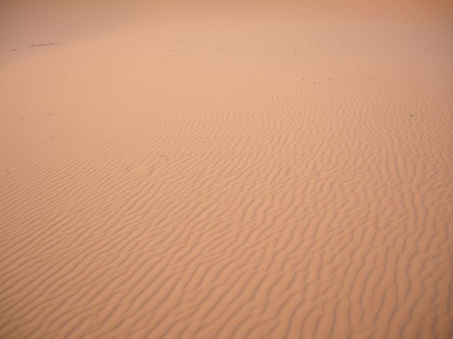 砂漠の入口エルフードで１泊、翌朝４：３０に４ＷＤに乗ってサハラ砂漠へ。砂丘の上で日の出を観に行きました。現地ガイドさん曰く「こんなことするの日本人だけです。」<br />たしかにフランス人が朝の４：３０に準備万端整えて砂漠へＧＯ！なんて想像できません。<br />この日はその後は1日中フェズに向かってバス移動約460キロでした。再びアトラス山脈を越えます。