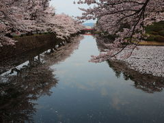 2014 GW　桜を追いかけて東北へ　2