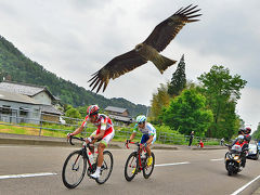 日本で最大級の国際公認レース『17th TOUR OF JAPAN』美濃ステージ