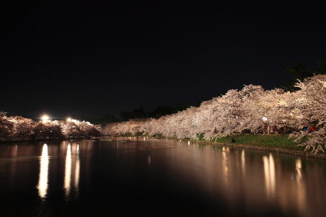 5日目 弘前城<br /><br />ずーと行きたかったところのひとつ　『弘前城』の桜<br /><br />タイミングもばっちりとても綺麗でした。<br />