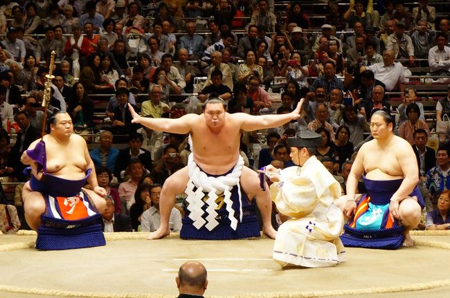 大相撲五月場所　初観戦　8年ぶりに日本人力士優勝か？