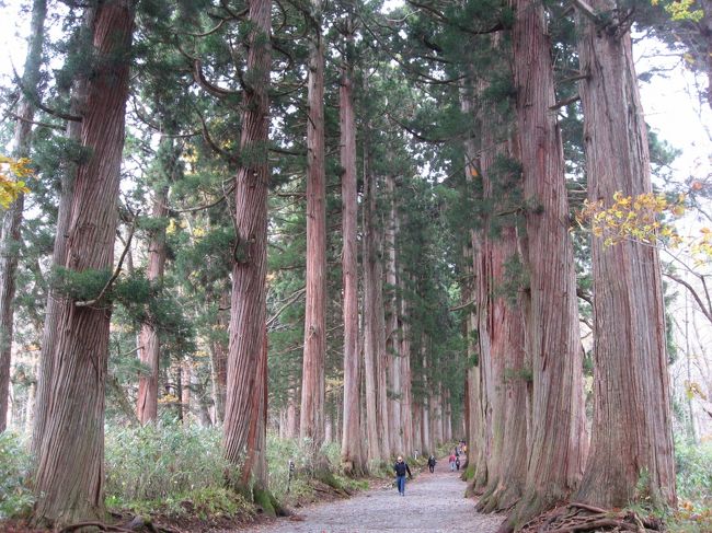 日本神話によれば、天照大御神が隠れていた岩戸が落ちてきて山ができ、そこに戸隠神社が建った。と伝えられています。<br />そんな戸隠神社は中社・奥社・九頭龍社・宝光社・火之御子社の五社からなっていて、五社すべてで御朱印を頂くことが出来ます。<br /><br />御朱印を頂きながらの戸隠神社五社めぐりと、お蕎麦を食べに行って来ました。<br /><br />● 日　　程　2010.11.2～2010.11.3<br />● お　　宿　宿坊 宮本旅館<br />● メンバー　オット<br />● 行　　程　１日目...戸隠神社宝光社・火之御子社・中社<br />　 　　　　　２日目...戸隠神社奥社・九頭龍社<br />　 　　　　　<br />