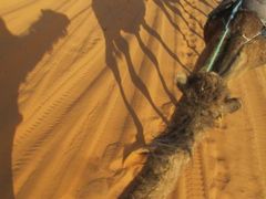 アイト・ベン・ハッドゥ/ワルザザート/カスバ街道/トドラ峡谷/メルズーガ大砂丘     