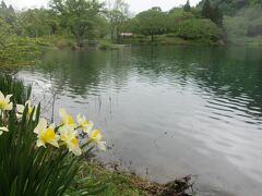 秘湖・高浪の池。静かな池。鯉ならずもゆっくりと楽しみたい。