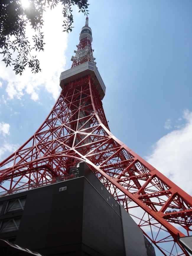 東京在勤15年ほどにもなるのに、一度も上ったことがなかった東京タワー。<br />良いチャンスなので250m上の特別展望台まで行ってきました。