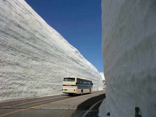 １日目の黒部峡谷トロッコ電車から翌朝は魚津のホテルをたって<br />立山駅へ。先ずケーブルカーで９７７メートルの美女平へ。<br />高原バスに乗り換えると一気に２４５０ｍの日本一の高所駅室堂へ。<br />ここが今回のツアーの本命とも言う大谷の雪ウオーク。<br />現在は１３メートルの雪の壁の道を歩く。１時間ほどのフリータイムが<br />ありこの後はロープウエイやケーブルで立山連峰を下り黒部ダムへ。