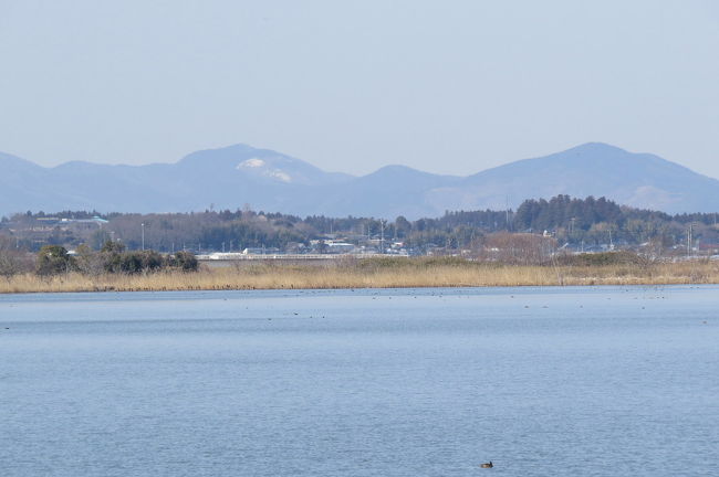 今年２度目の涸沼（ひぬま）でのバードウォッチングです。<br /><br />表紙写真は、涸沼の風景です。<br />