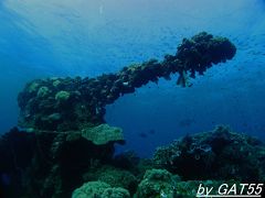 69年前の戦場へトラック諸島でDIVE！～特設航空機運搬艦 富士川丸(FUZIGAWA MARU)～