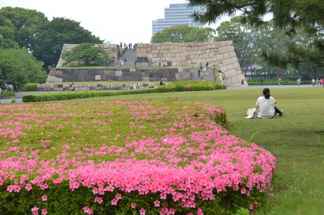 皇居東御苑に行ってきました。<br />この時期はサツキやツメクサが一面に咲いていてきれいです。それとハマナスなど女性の皇族方ゆかりのバラが植えられているバラ園が開花時期です。<br />日曜日のお昼時の散策で、お花の写真撮影を楽しんできました。<br />コースとしては<br />東西線の竹橋駅→和気清麻呂像→平川門から皇居東御苑に入場→梅林坂→天守台跡→バラ園→松の大廊下跡→展望台→汐見坂→二の丸庭園→大手門→パレスビルの野菜ダイニングほんのちょっとで昼食<br />以上で所要時間は3時間半ほどです。<br />おかげさまで写真は300枚以上撮りました。ここではその一部をご紹介します。