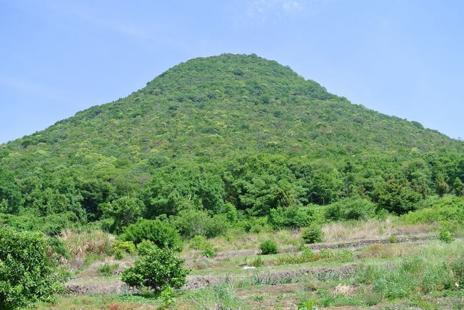 飯野山に登ってきました。<br /><br />山と渓谷社の「香川県の山」では通年で登山可能となっています。<br />登山道は木陰になっています。<br /><br />駐車場が整備されている飯山登山口からのぼりました。ちなみに駐車場は9時20分ごろでほぼ満車でした。<br /><br />9時30分から登山開始です。<br />我輩は坂道に弱いので８０分ぐらいかかりました。<br />途中、眺望が開けません。<br /><br />頂上には薬師堂があります。また展望台があってとても見晴らしがよかったです。<br /><br />帰りは飯野山をぐるりと回りながら降りて野外活動センターの登山口におりて、一般道を歩いて飯山登山口まで帰ります。<br /><br />GPSの記録<br />2014/05/24 9:30:22<br />移動時間: 4:14:33<br />停止時間: 0:00<br />距離: 7.82 km<br />平均ペース: 32:32 /km<br />最高ペース: 6:29 /km<br />登り: 701 メートル<br />降り: 708 メートル<br />カロリー: 932<br />