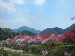 月川温泉一帯の『花桃の里』◆2014年ＧＷ／ハナモモを見に木曽へ≪その２≫