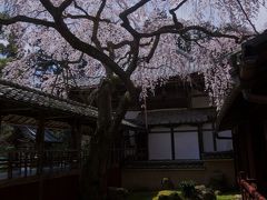 今年も京都の桜の時期に･･･２