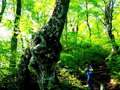 日本百名山「荒島岳」に登ってきました！ぜいぜい、もうこんなに辛い山、知りません！って感じです。