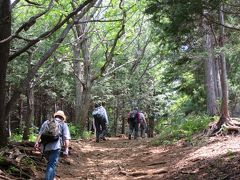 秩父　丸山～大野峠～虚空蔵峠をハイキング