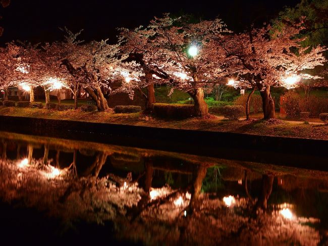 花も団子も・・・！欲張っちゃった～～(*^_^*)！！＊＊山形県・鶴岡市＊＊②＊＊庄内藩校致道館、鶴岡公園、アル・ケッチァーノ、鶴岡公園の夜桜など＊＊