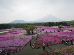 2014.5 山梨　−２日目／富士本栖湖リゾート・本栖湖・忍野八海・山中湖−