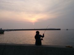 師崎港で釣りを楽しんできました