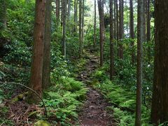 目指せ京都三条大橋！　　東海道ウォーク　　５回目　　東海道一番の難所　箱根越え