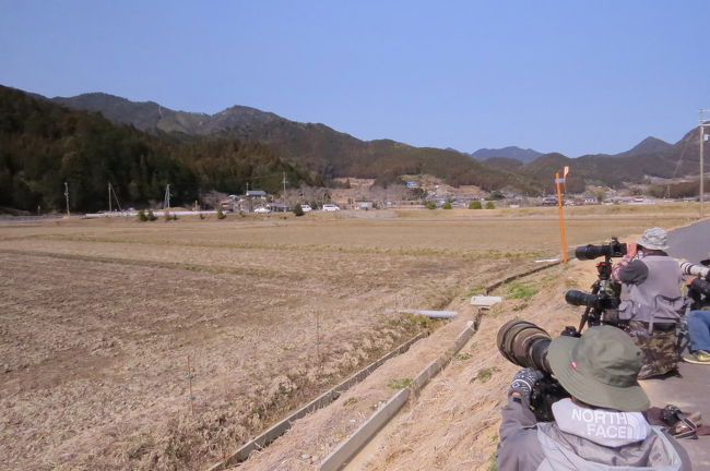 三重県紀宝町に、珍鳥ヤドリギツグミが出ているとの情報を戴き、見に行ってきました。<br />国内での飛来確認は五例目との事です。<br /><br />表紙写真は、紀宝町の田園風景とカメラマン。<br /><br /><br /><br />（注）「珍鳥のブログへの掲載は慎重に」というアドバイスを受けていましたが、珍鳥が出てからすでに３ヶ月も経過し、冬鳥のツグミも北国に渡ってしまったのでもう抜けた筈と思い、また、他のブログでも掲載されているので、今回掲載に踏み切りました。