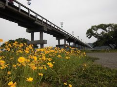 牧之原台地の茶の香りに誘われて「蓬莱橋」・・・長さ世界一の木造橋散策紀行