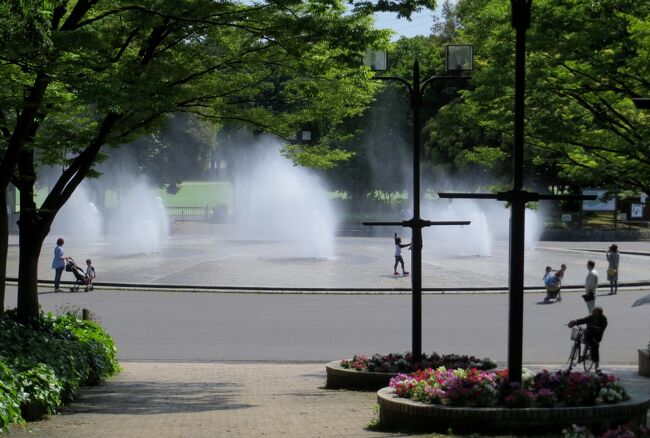 庄内緑地公園の温室と温室の周りの草花や樹木の紹介です。(ウィキペディア、庄内公園公式サイト)