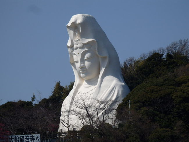 大船観音寺（おおふなかんのんじ）は神奈川県鎌倉市岡本にある曹洞宗の寺で全長約２５ｍの巨大白衣観音像（大船観音）で知られＪＲ大船駅西口より徒歩１０分程の場所にあり駅から良く見える。<br />大船観音は１９２９年に地元有志の発起により護国観音として築造が開始され１９３４年に輪郭が出来上がっていたが戦局の悪化により築造は中断し第二次世界大戦後１９６０年に完成している。建造をすすめた大船観音協会には曹洞宗管長の高階瓏仙（たかしな ろうせん）や、東京急行電鉄の初代社長・五島慶太始め各界の著名人が参画したとのこと。大船観音は大船のシンボルとして夜間にはライトアップされ観光名所となっている。<br />観音像へは東南アジア（特に華僑・上座部仏教信者）などからの参拝客も多く１９９９年より台湾やスリランカなどから僧を招き法要を行い各国の民族舞踊を奉納する「ゆめ観音in大船」という祭りが開催されるようになったそうだ。<br />大船駅（おおふなえき）は神奈川県鎌倉市大船一丁目の東日本旅客鉄道・湘南モノレールの駅で鎌倉市と横浜市の境界上に位置し鉄道を中心とした交通の要衝となっており、東口側を中心に駅前市街地が形成されている。西口側には神奈川県立フラワーセンター大船植物園、大船観音、東口・笠間口側にはルミネウィング（駅ビル） 、松竹大船撮影所跡地＝現在は鎌倉芸術館や鎌倉女子大学大船キャンパス、などがある。<br />湘南モノレール株式会社（しょうなんモノレール）は神奈川県鎌倉市に本社を置く湘南モノレール江の島線を運営する鉄道会社で江の島線 大船駅− 湘南江の島駅 ６．６ｋｍ８駅モノレール路線。近隣を走る江ノ島電鉄線とともに景勝地・湘南を通ることからから度々テレビドラマや映画、書籍などの作品に当路線が登場している。JRの東口から駅ビル「ルミネウィング」を経て湘南モノレールの駅まで通路が続いており駅ビルやJRの駅に設置のエスカレーターを使用して外部からモノレールの駅に雨にぬれずに行ける。<br />ホテルメッツチェーンは、東日本旅客鉄道によるホテルチェーン「JR東日本ホテルズ」のビジネスホテルブランドでホテルメッツの特徴としてスタンダードタイプのシングルルーム１泊あたりの宿泊料金が、東京都区内の店舗で１万円前後、その他の関東各地や地方の店舗で７−８０００円前後に設定され朝食券が付帯されていること、シングルルームでは１４０cm幅のベッド、温水洗浄便座、足が伸ばせるバスタブを備えたユニットバスであることとのこと。ホテルメッツかまくら大船は大船駅から徒歩３分で鎌倉の観光拠点として便利で高速インターネット通信環境も全部屋整えているそうだ。<br />（写真は大船観音）<br /><br />