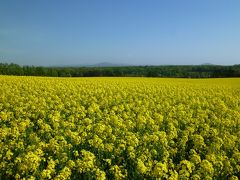 北海道滝川市：菜の花日本一ならず！菜の花まつり＆道の駅編(2014.5.28&31)