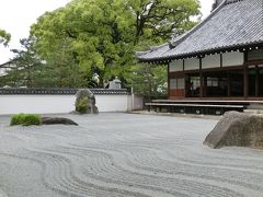 ＳＦＪで福岡・熊本のたび④　福岡城バーチャル体験＆寺院巡り