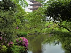 こんなに静かな浅草が・・・浅草寺伝法院庭園特別公開