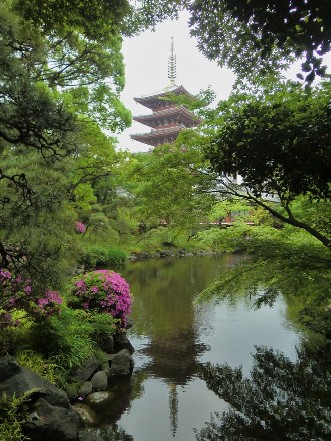 こんなに静かな浅草が・・・浅草寺伝法院庭園特別公開