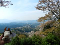 吉野山・上千本は葉桜だった...（涙）