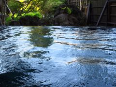 越後湯沢・中里・岩原の旅行記